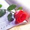 50 лет :: Веселые смс поздравление на юбилей 50 лет маме